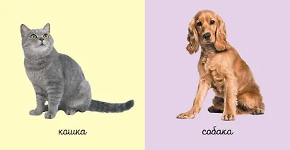 Комплект из 6 супер-прочных мини-книжек «Первые слова для самых маленьких» - фото 4