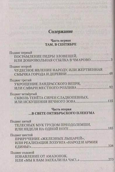 Тринадцать подвигов Шишкина - фото 2
