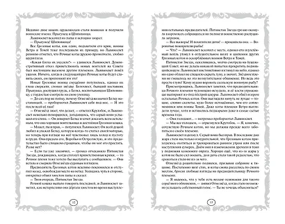 Четвертый оруженосец. Долгое эхо - фото 7