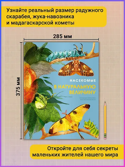 Насекомые в натуральную величину - фото 4