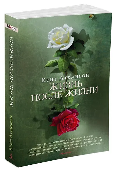 Жизнь после жизни - фото 2