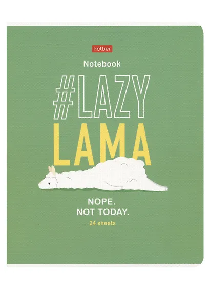 Тетрадь в линейку Hatber, "Ленивые хвостики", 24 листа, в ассортименте - фото 4