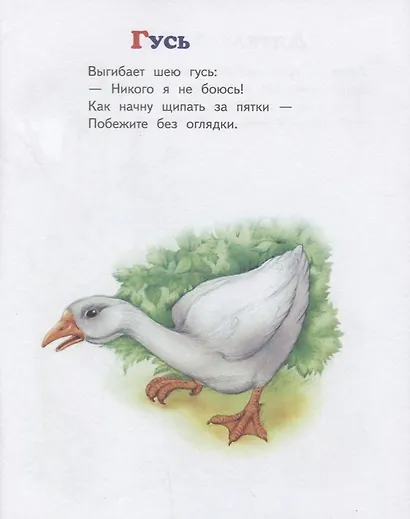 Азбука животных - фото 3