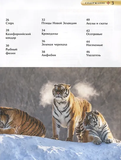 Красная книга. Детская энциклопедия - фото 7