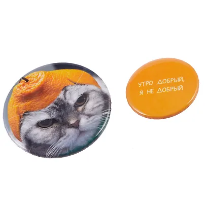 Набор значков "Утро добрый, я не добрый", коллекция "Забавные питомцы", 2 шт. - фото 4