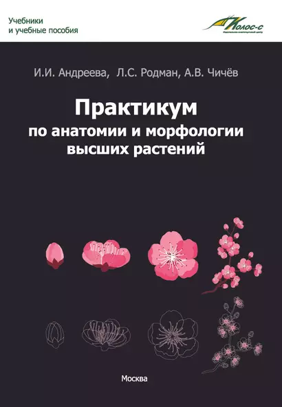 Практикум по анатомии и морфологии высших растений: учебное пособие - фото 1