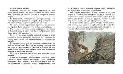 Приключения доисторического мальчика - фото 12