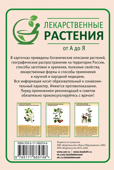 Лекарственные растения от А до Я. 50 карточек - фото 2