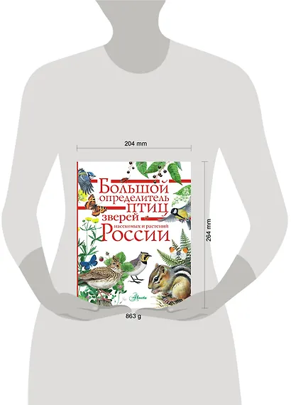 Большой определитель зверей, амфибий, рептилий, птиц, насекомых и растений России - фото 4