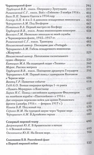Великая война. Российский флот в 1914–1917 гг. - фото 3