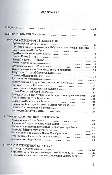 Сетки Солнечной системы. Практика возрождения генетической памяти человека. - фото 2