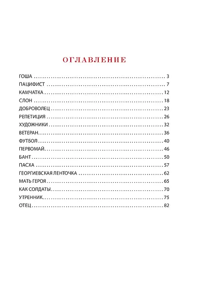 Как настоящий солдат - фото 4
