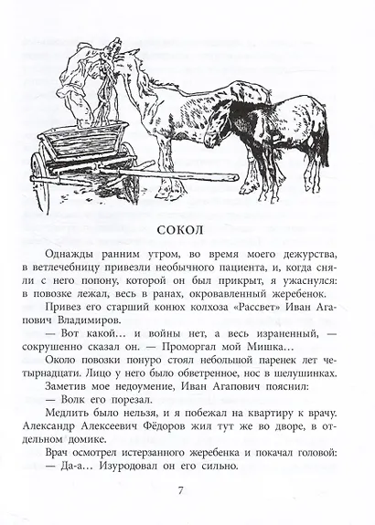 Пират, ищи! - фото 3