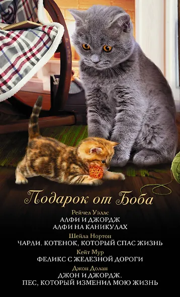 ПОДАРОК ОТ БОБА: Книги о самых отважных домашних питомцах - фото 4