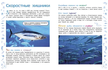 Морские животные - фото 7