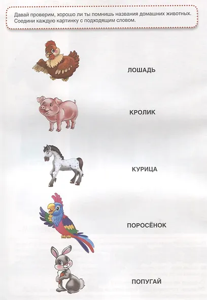 Домашние животные (обучающая активити +50). - фото 3