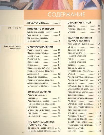 Фелтинг: курс для начинающих. Идеи и проекты - фото 2