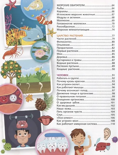 Обо всем на свете. Детская энциклопедия в картинках - фото 7