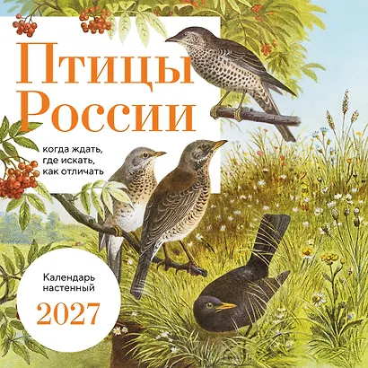 Птицы России: когда ждать, где искать, как отличать. Календарь настенный на 2027 год (300х300 мм) - фото 1