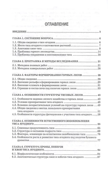 Тис ягодный на Кавказе - фото 2
