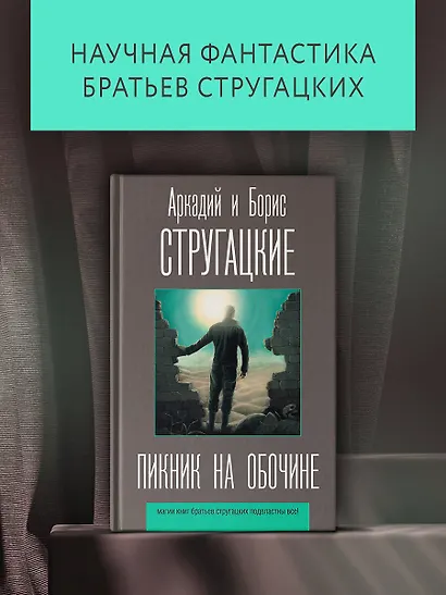 Пикник на обочине - фото 3