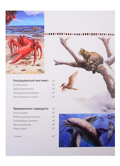 Животные-путешественники - фото 3