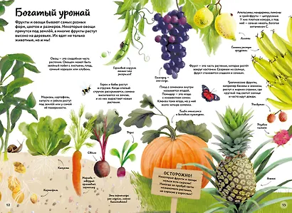 Большая книга о природе в картинках - фото 5