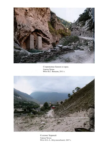 Чеченцы - фото 5