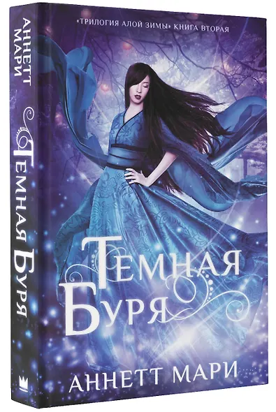 Темная буря - фото 3