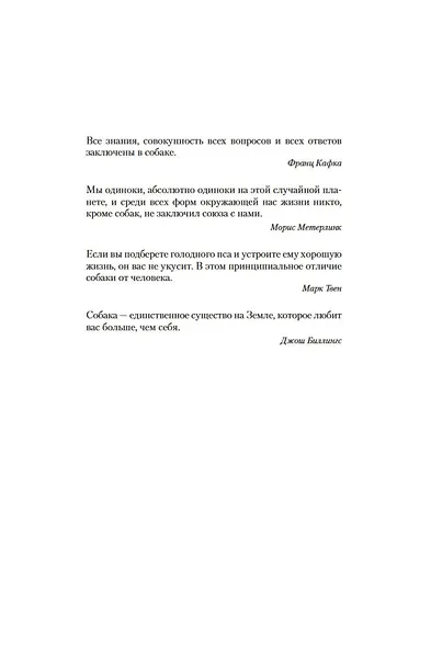 Мистериум - фото 8