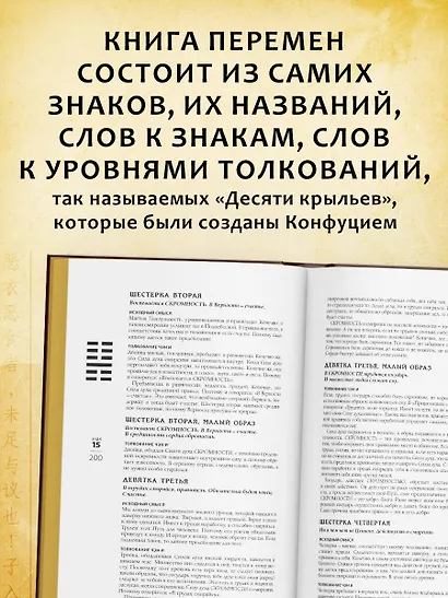 Искусство управления переменами. Знаки и крылья. - фото 5