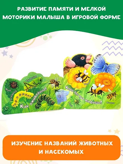 В траве - фото 4