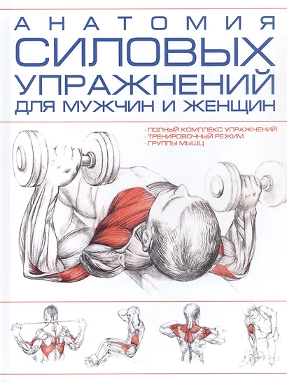 Анатомия силовых упражнений для мужчин и женщин - фото 2