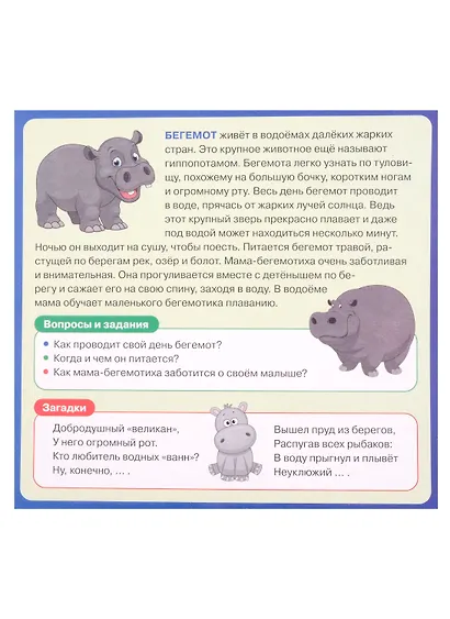 Развивающие карточки для детей. Животные мира (20 карточек) - фото 5