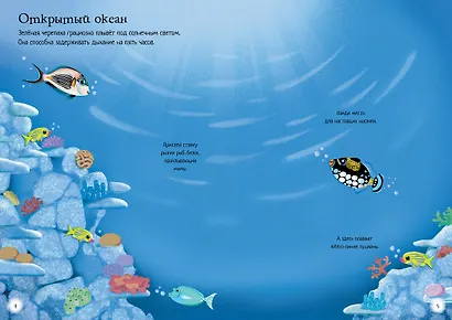 Океанариум - фото 7