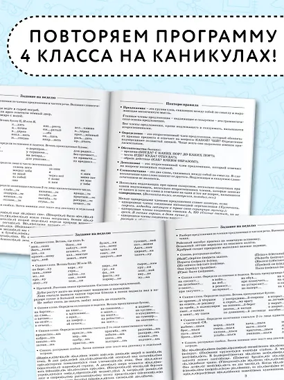Летние задания по русскому языку для повторения и закрепления учебного материала. 4 класс - фото 4