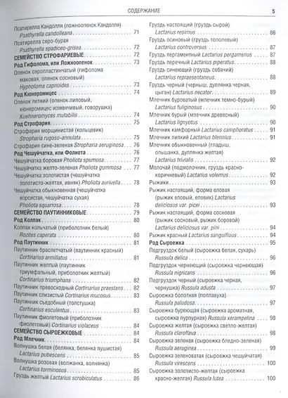 Грибы Полная илл. энциклопедия Более 400 видов грибов... (Куреннов) - фото 7