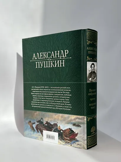 Александр Пушкин. Полное собрание стихотворений в одном томе - фото 9