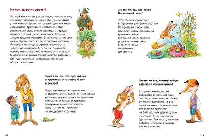 Как живут кролики и зайцы. Познавательные истории - фото 6