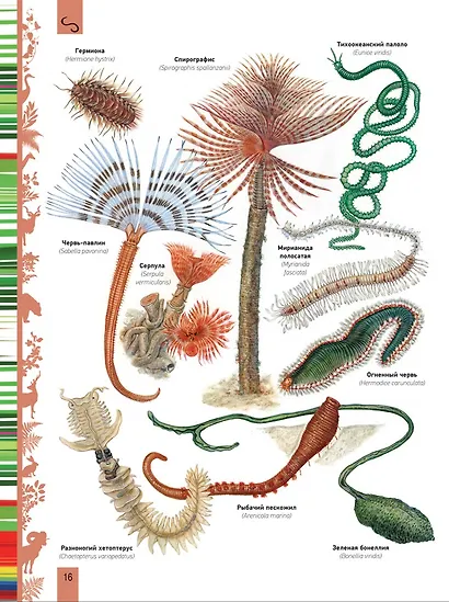 Животные. Большая энциклопедия - фото 4