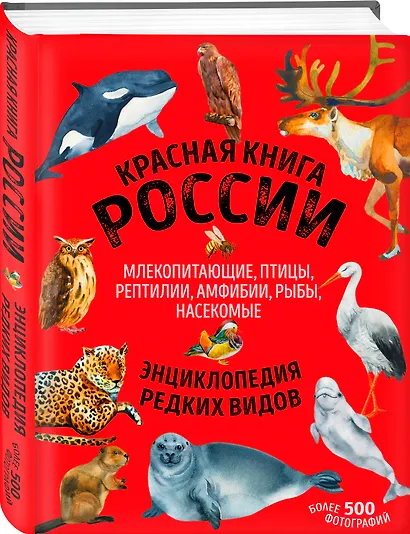 Красная книга России: животные, растения, птицы, насекомые. Энциклопедия редких видов - фото 3