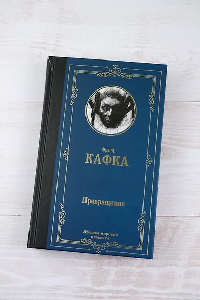 Похождения бравого солдата Швейка - фото 5