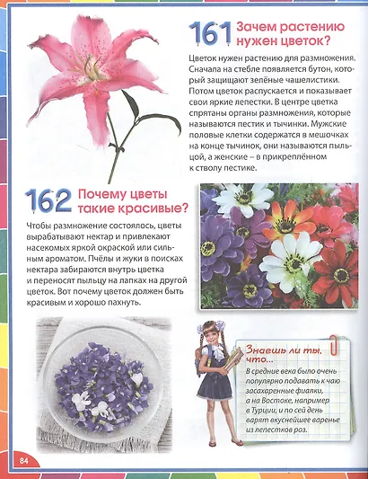 Большая энциклопедия для детей в вопросах и ответах - фото 10