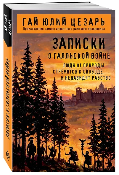 Записки о Галльской войне - фото 3