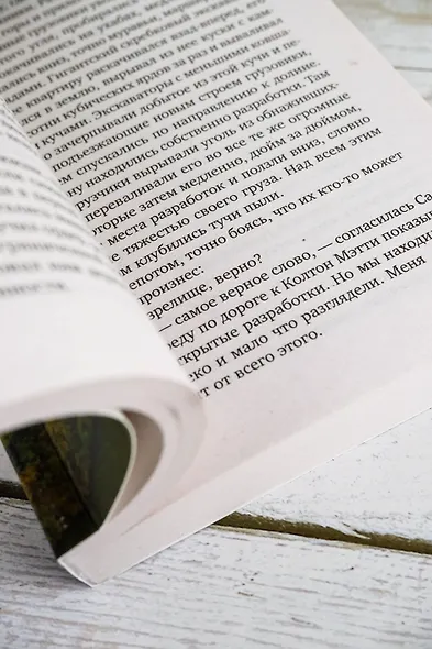 Серая гора - фото 6