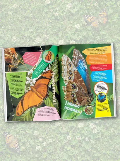 Большая энциклопедия о насекомых. 500 фотографий и фактов - фото 5