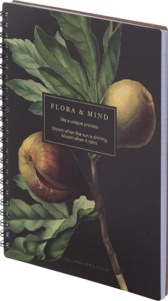 Тетрадь общая «Flora. Инжир», 80 листов в клетку, А5 - Be Smart - фото 4