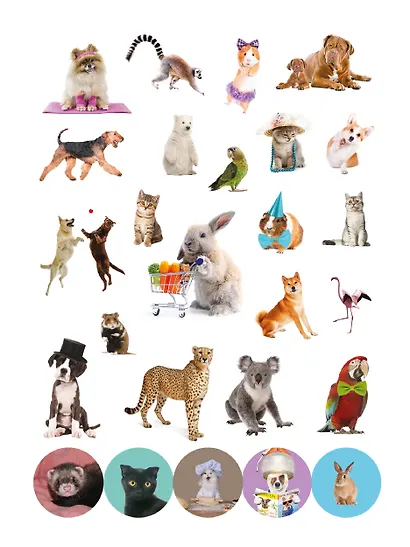 100 НАКЛЕЕК. ЗАБАВНЫЕ ЖИВОТНЫЕ - фото 2