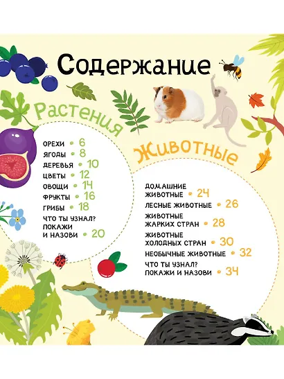 Мои первые 300 слов. Животные, рыбы, птицы, растения - фото 2