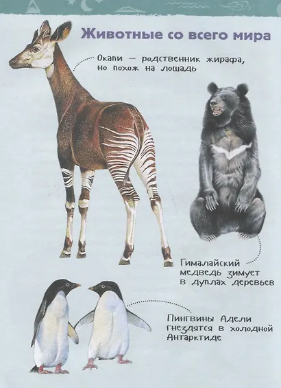 Планета Земля. Энциклопедия для детского сада - фото 5